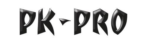 pk-pro.de